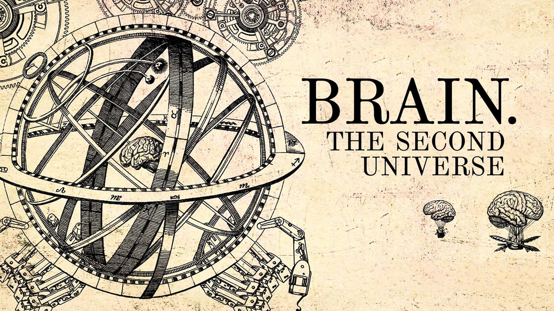 Brain. Second Universe