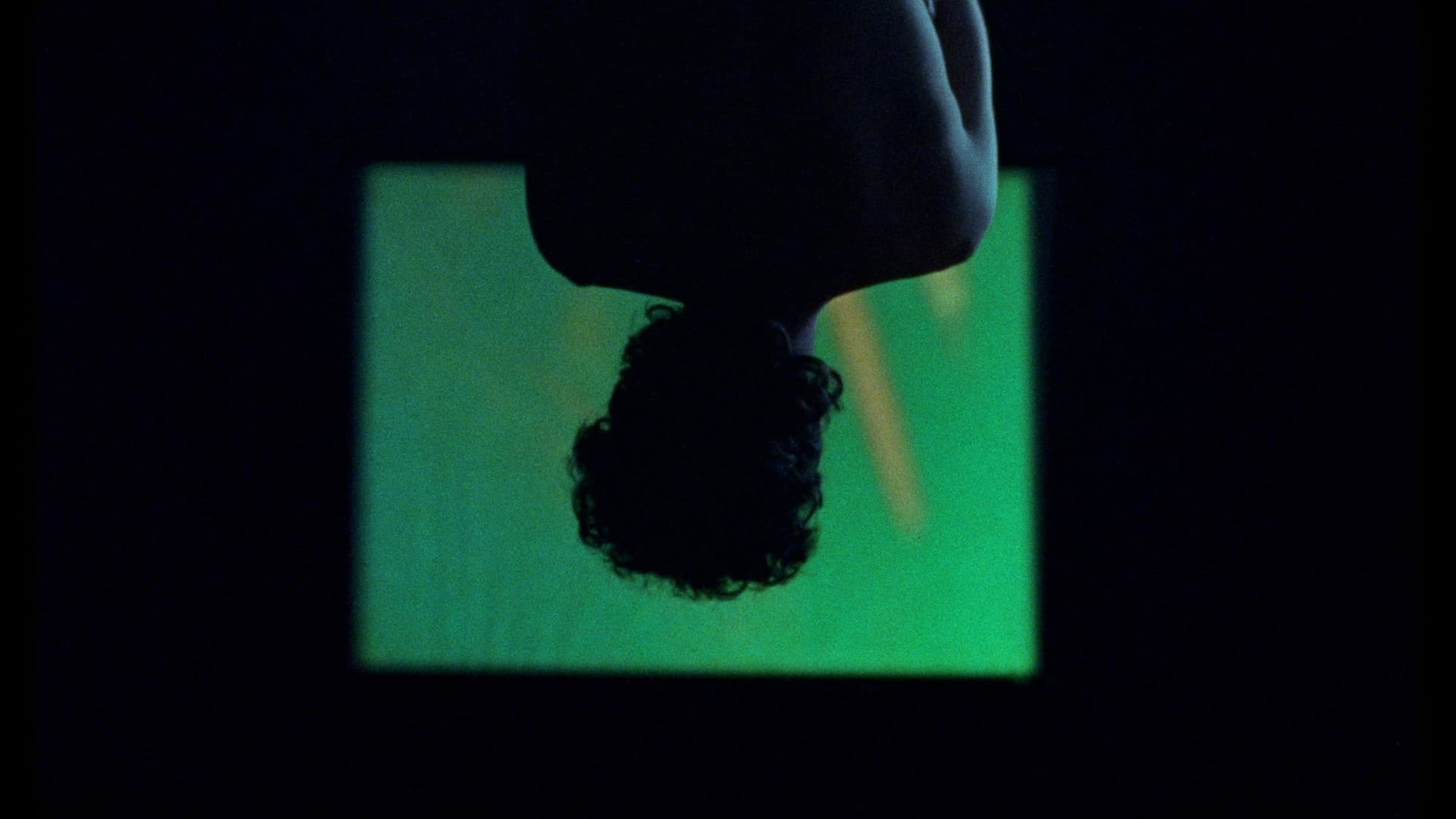 Los murciélagos han abandonado el campanario