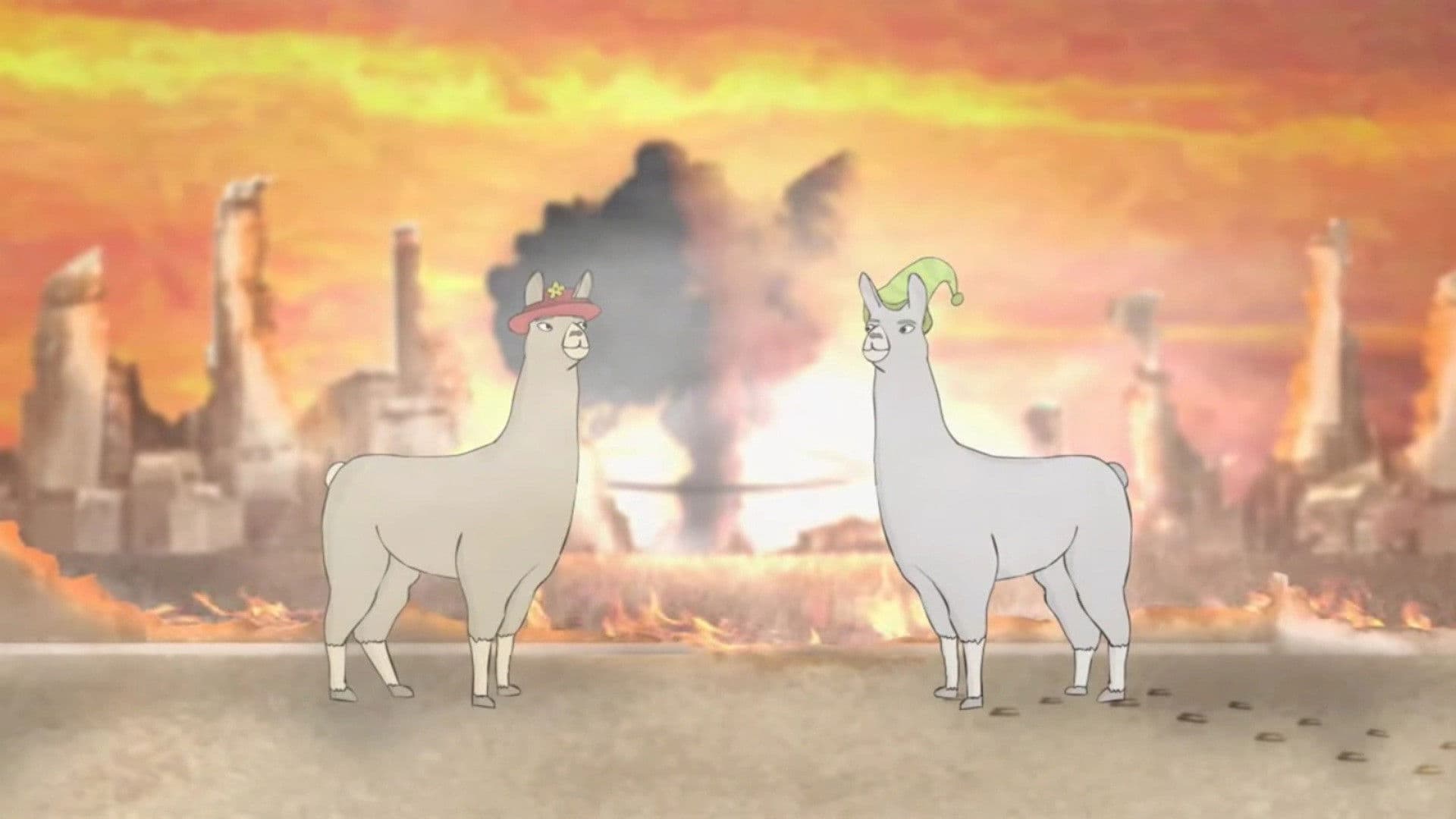 Llamas with Hats 4