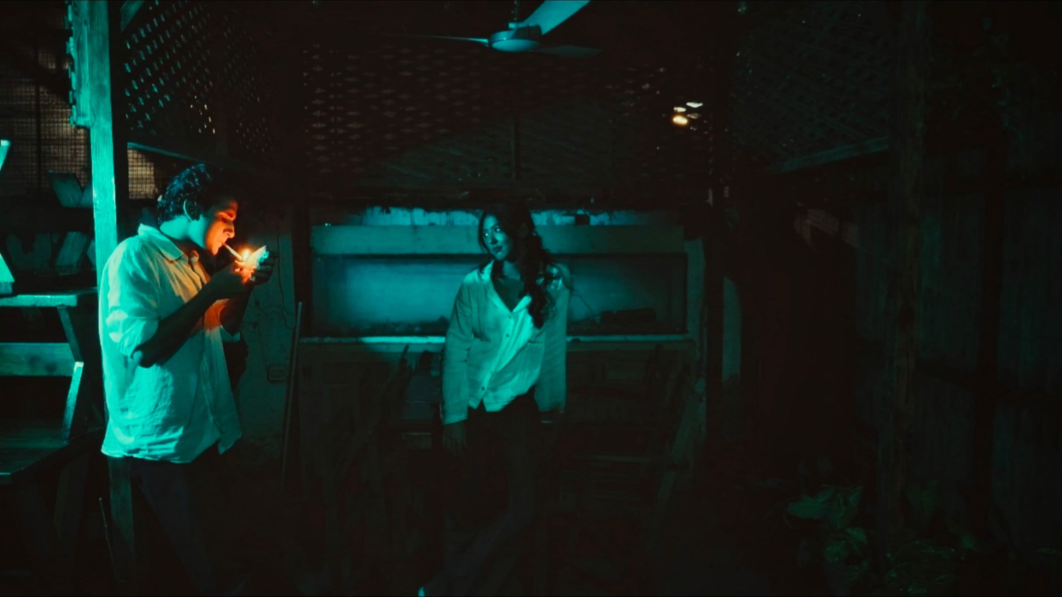 Scenes from a Situationship