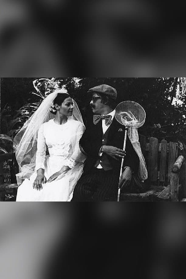 The Bride and the Butterfly Hunter