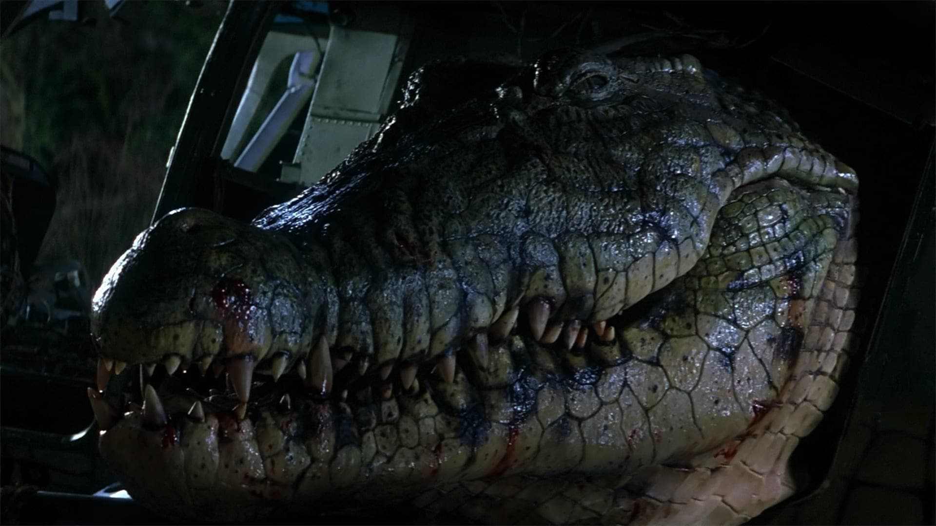 Lake Placid Collection