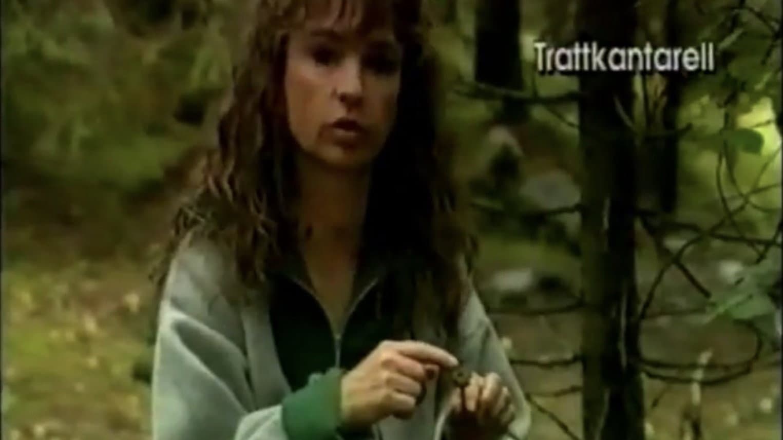 Christina's Mushroom School
