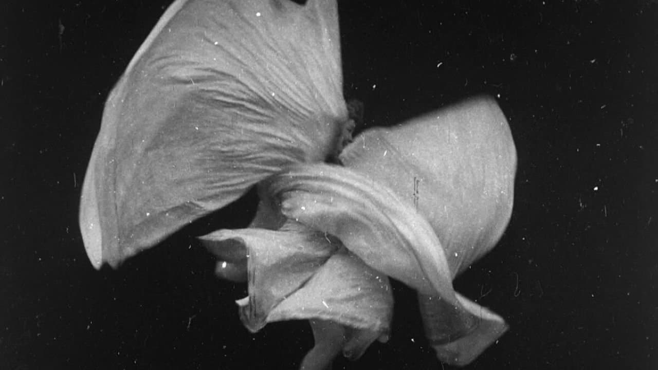 Serpentine Dance by Mme. Bob Walter