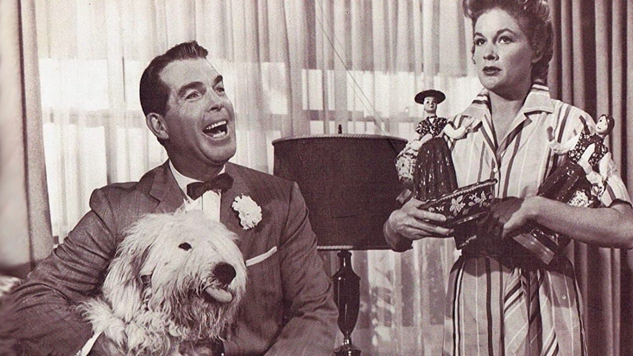 The Shaggy Dog Collection