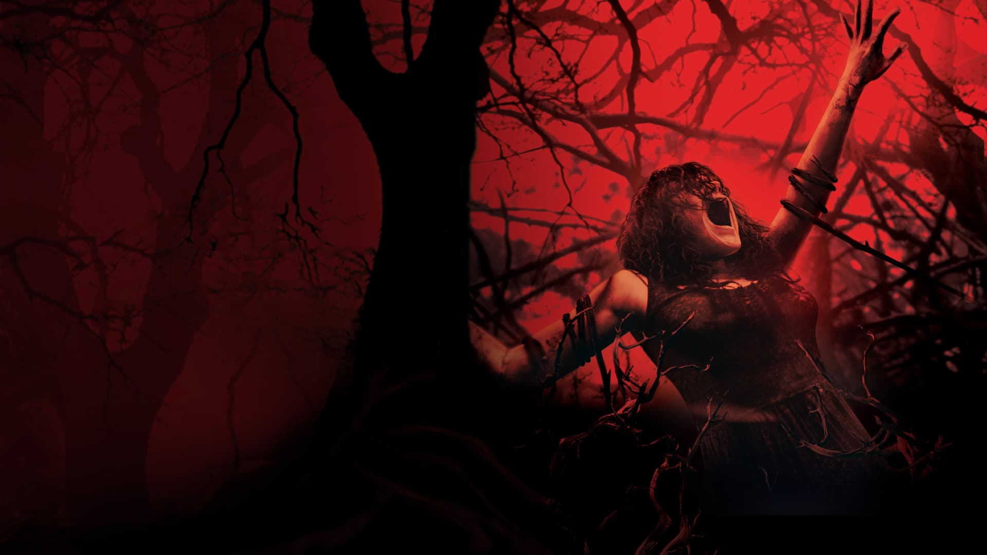 Evil Dead Standalone Collection