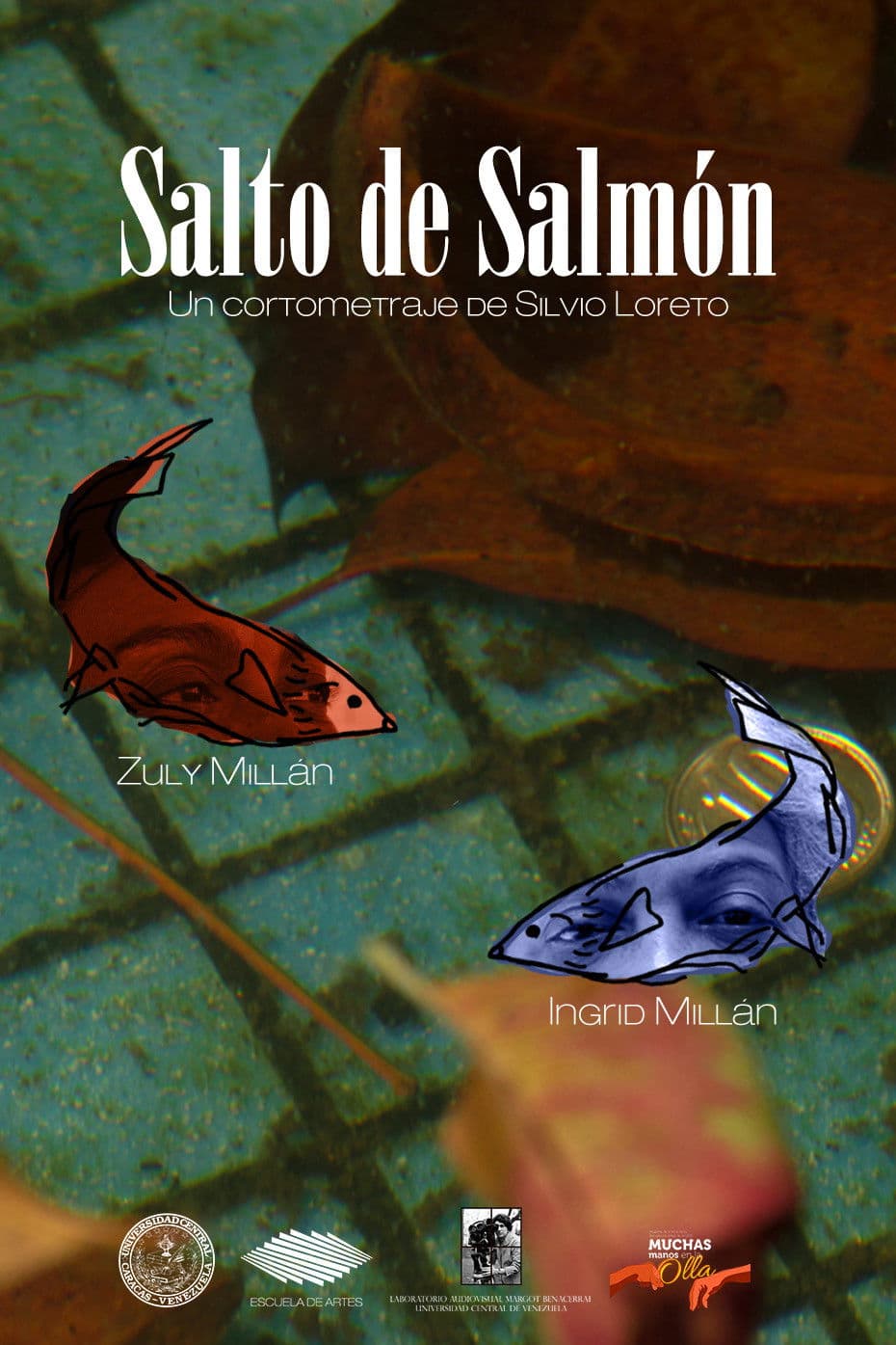 Salto de Salmón
