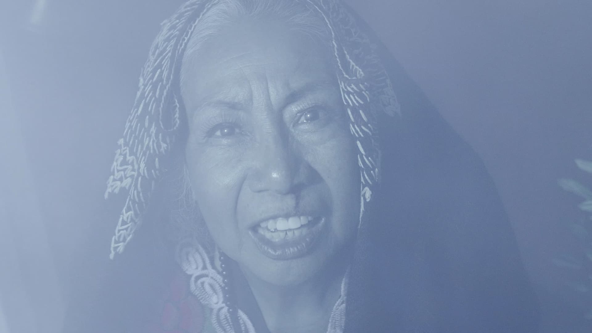 Doña Ninfa