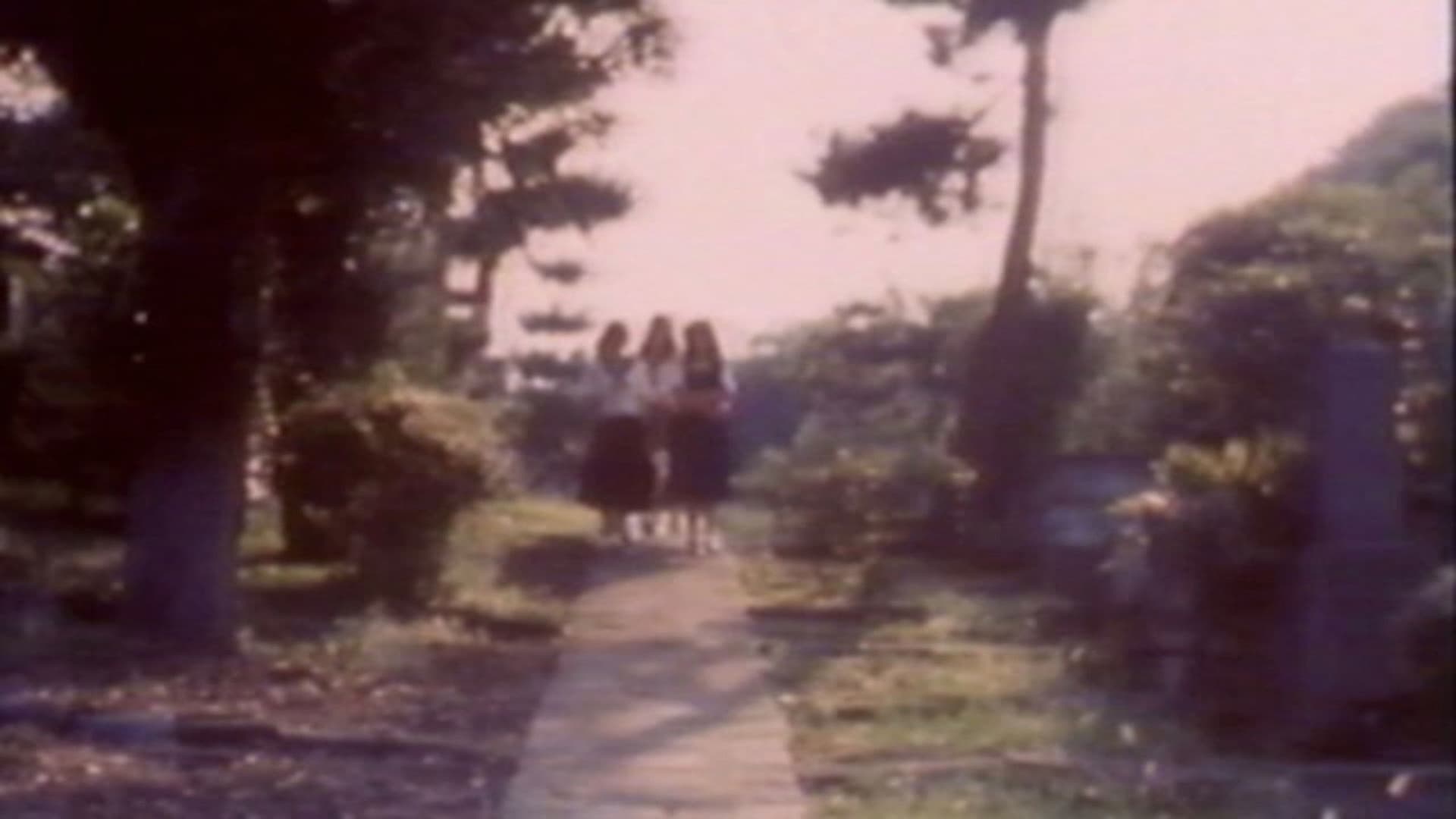 Momoco Wonderland: Strange House