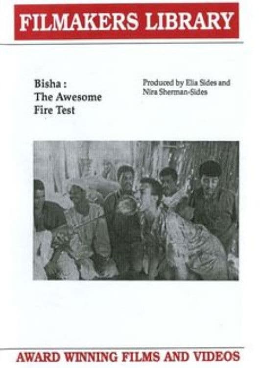 Bisha: The Awesome Fire Test