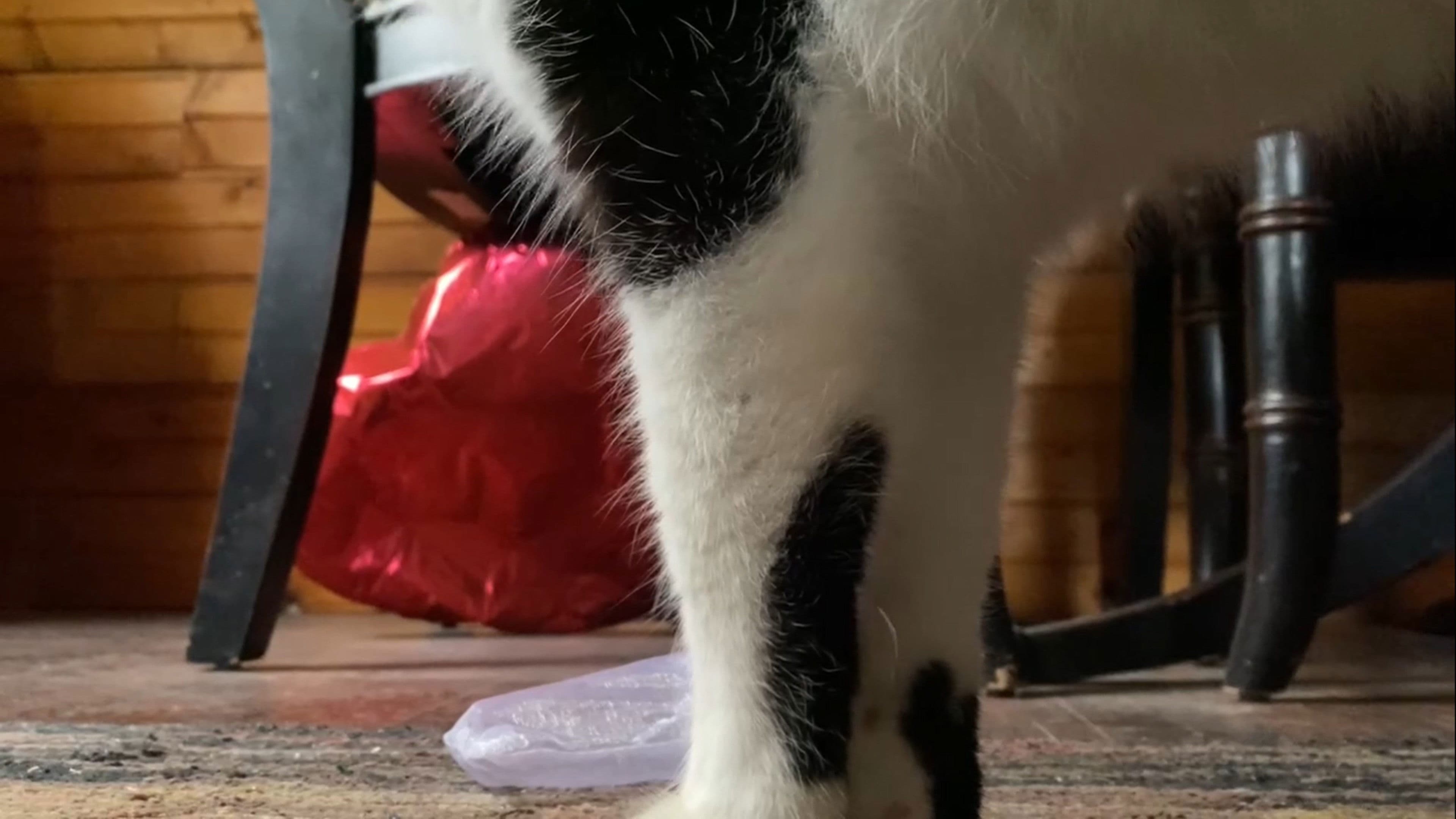 Manic Magic: a Poem in Four Parts