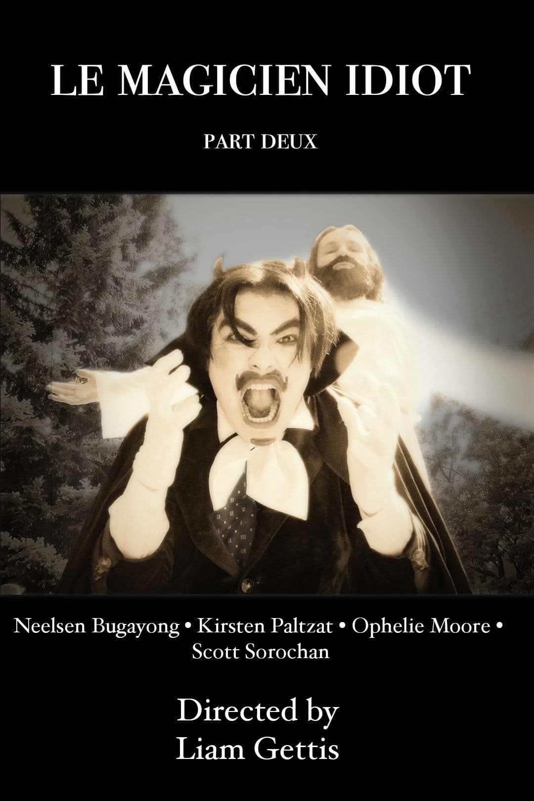 Le Magicien Idiot Part Deux