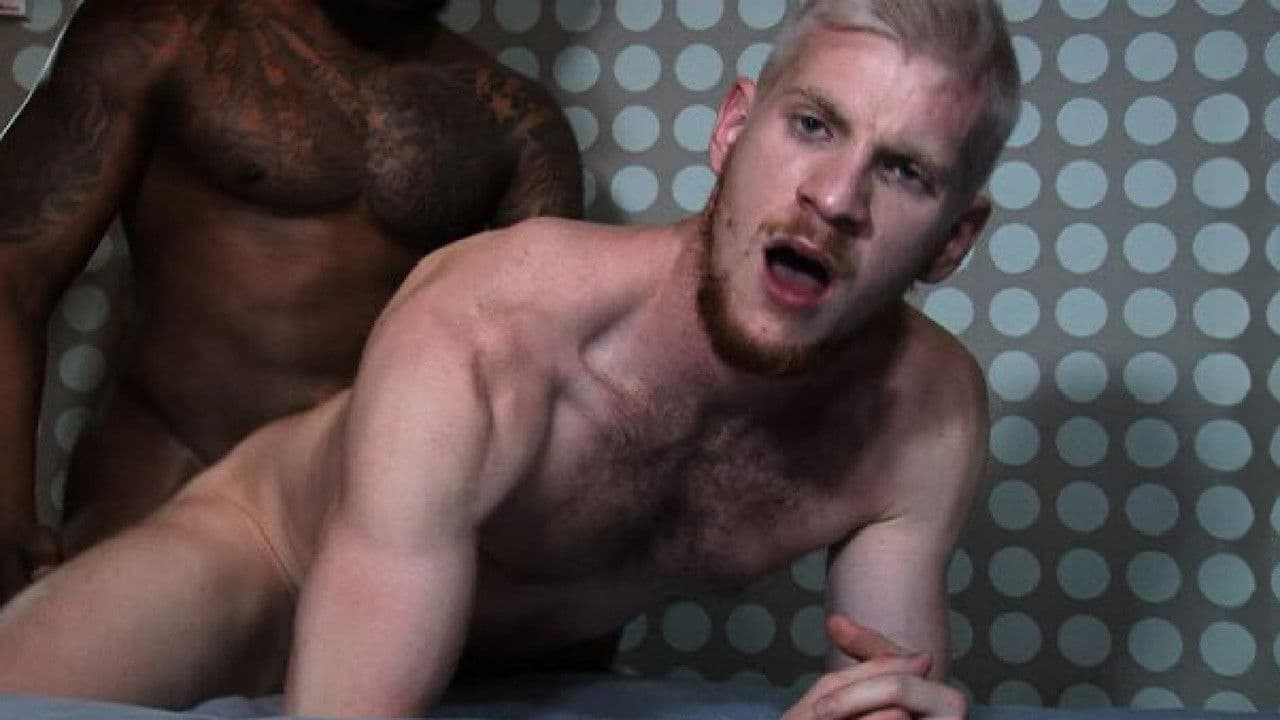 Take That Black Dick White Boy