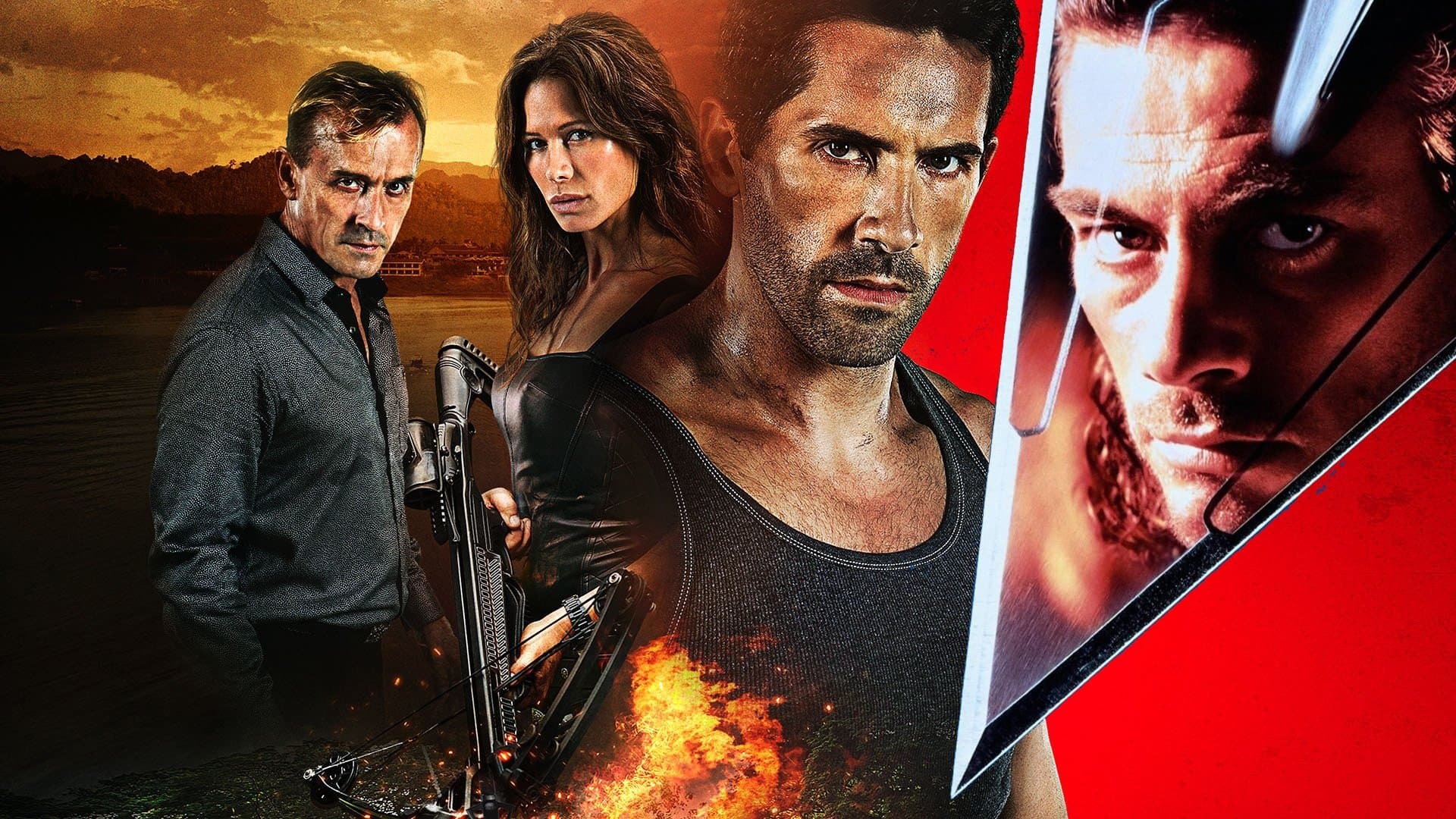 Hard Target Collection