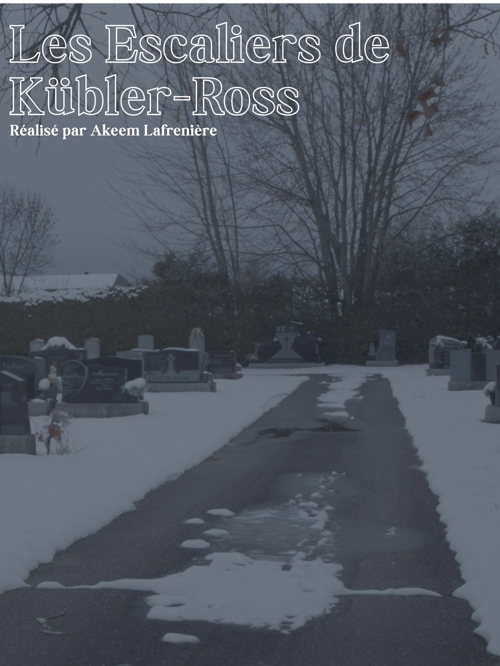 Les Escaliers de Kübler-Ross