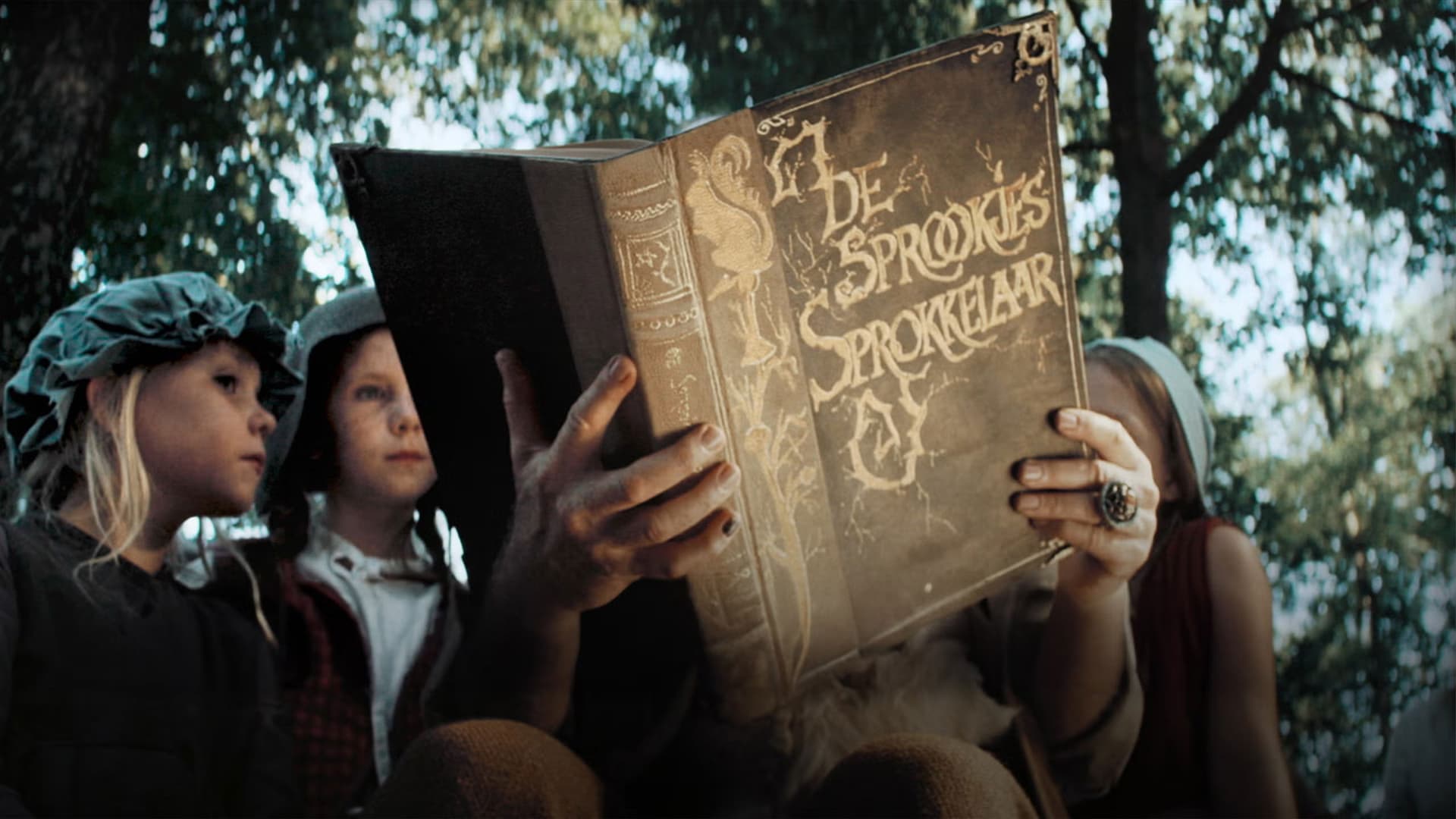 Efteling: Het Verhaal Van De Sprookjessprokkelaar