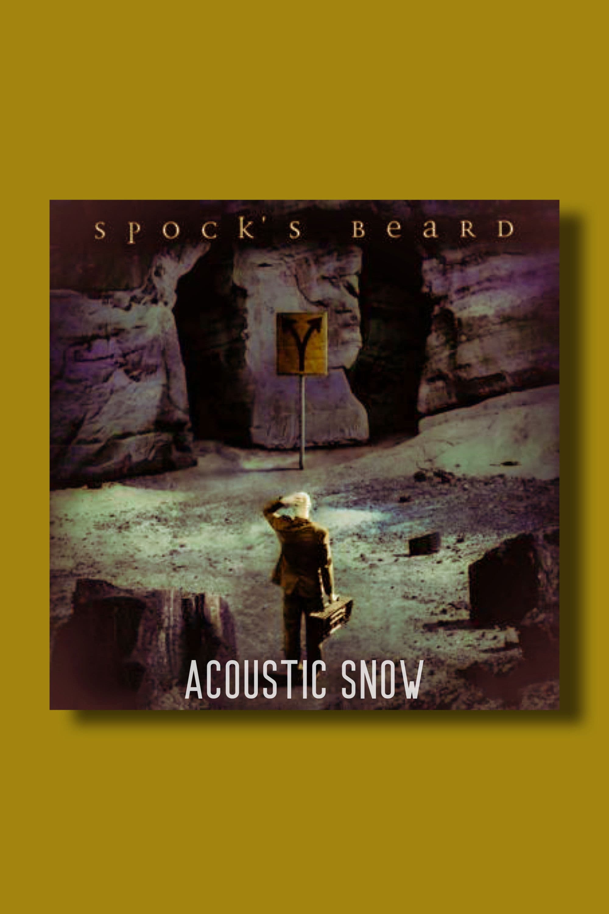 Spock's Beard: Acoustic SNOW