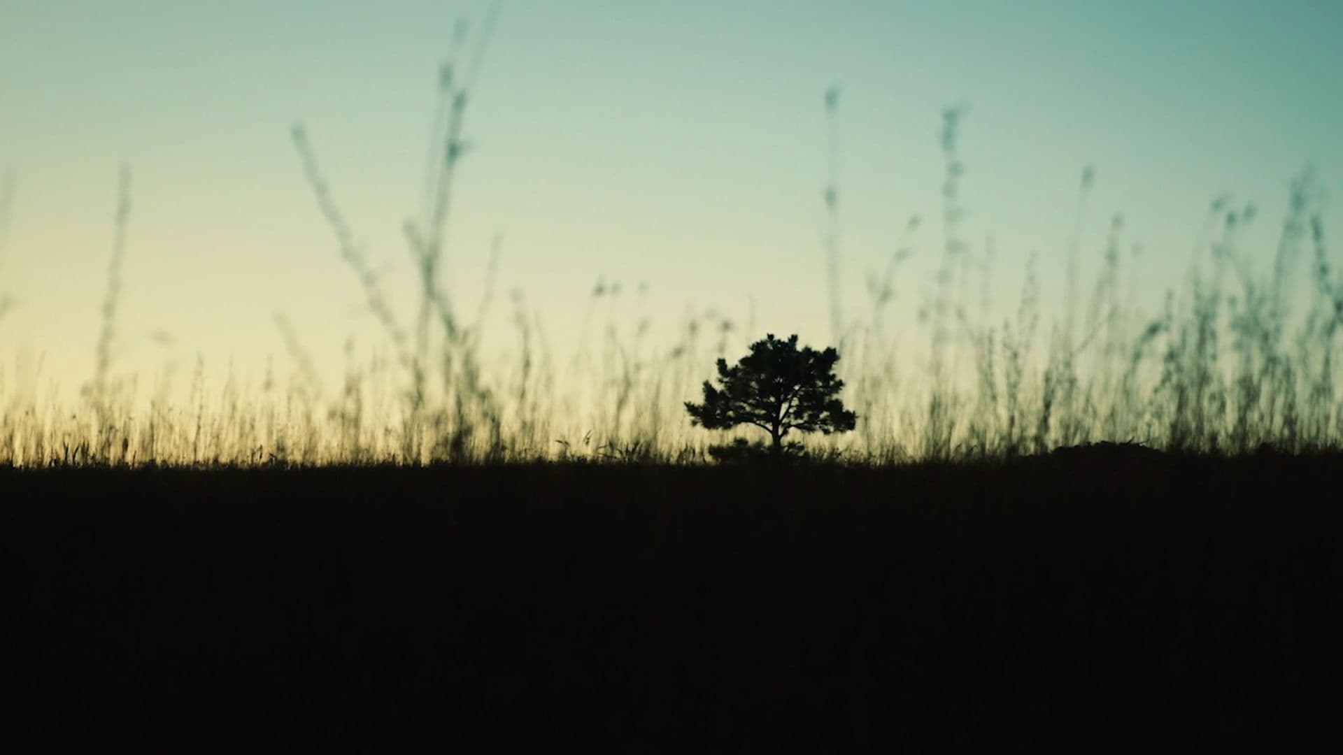 A Death Worth Living For