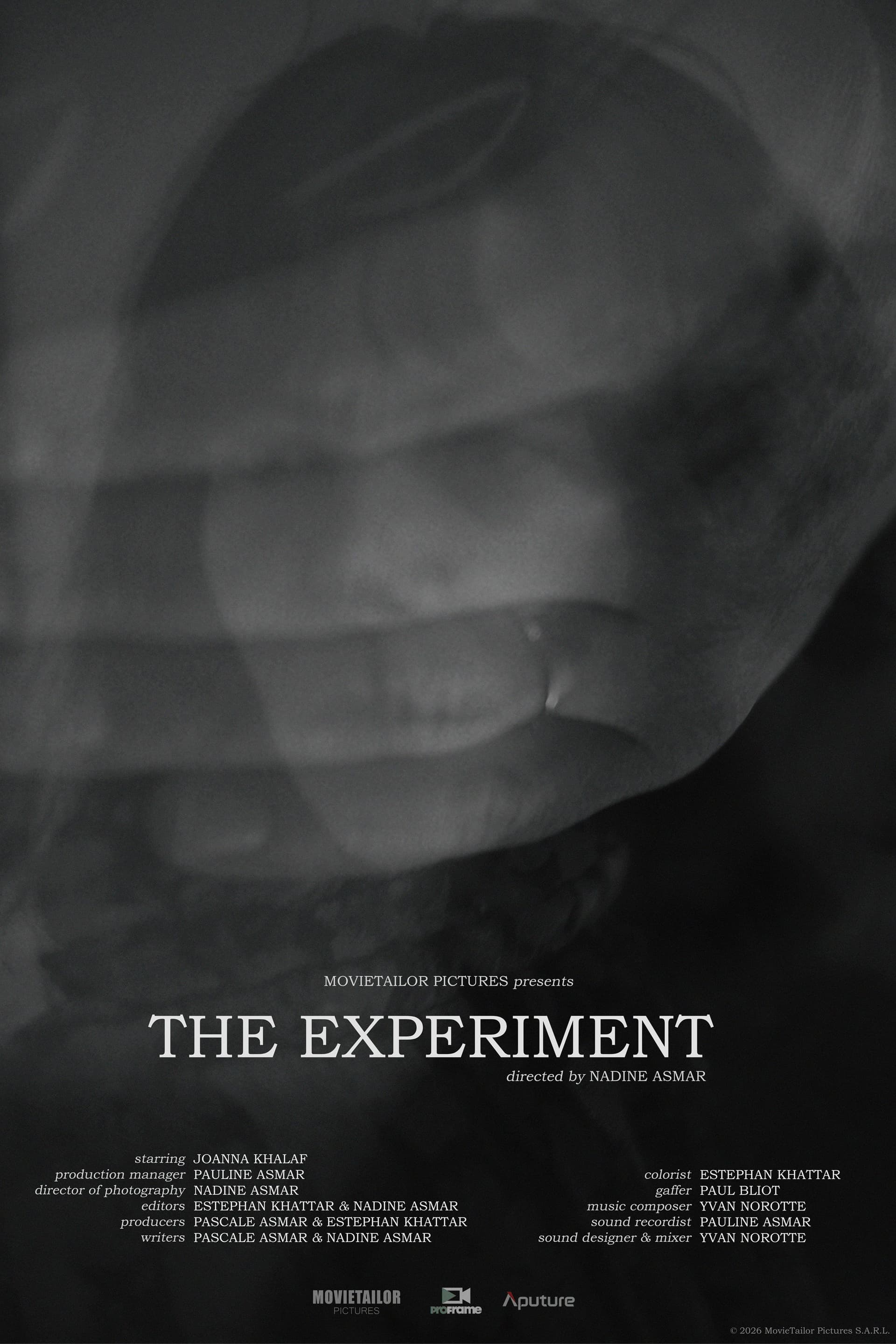 The Experiment