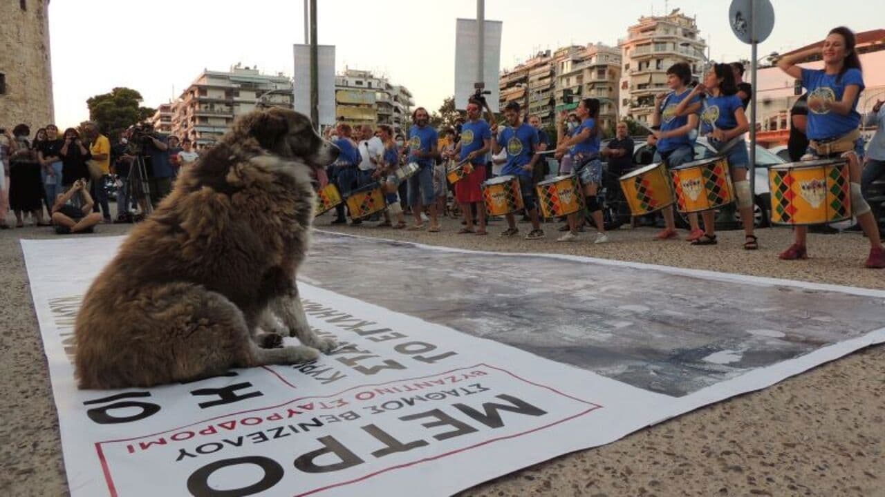 Should They Stay or Should They Go?