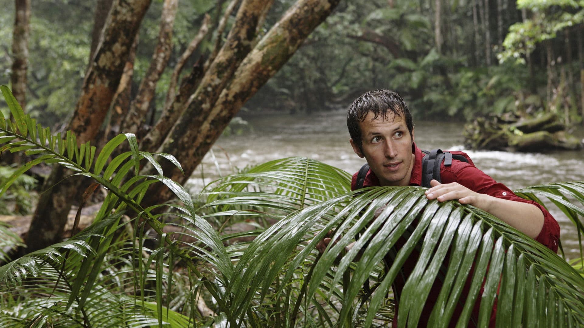 Willi and the wonders of this world