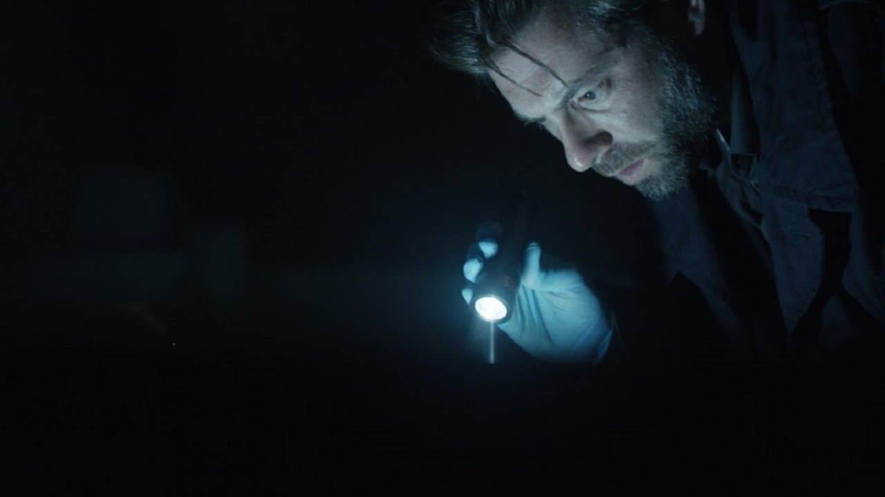 Nick Cafmeyer Collection