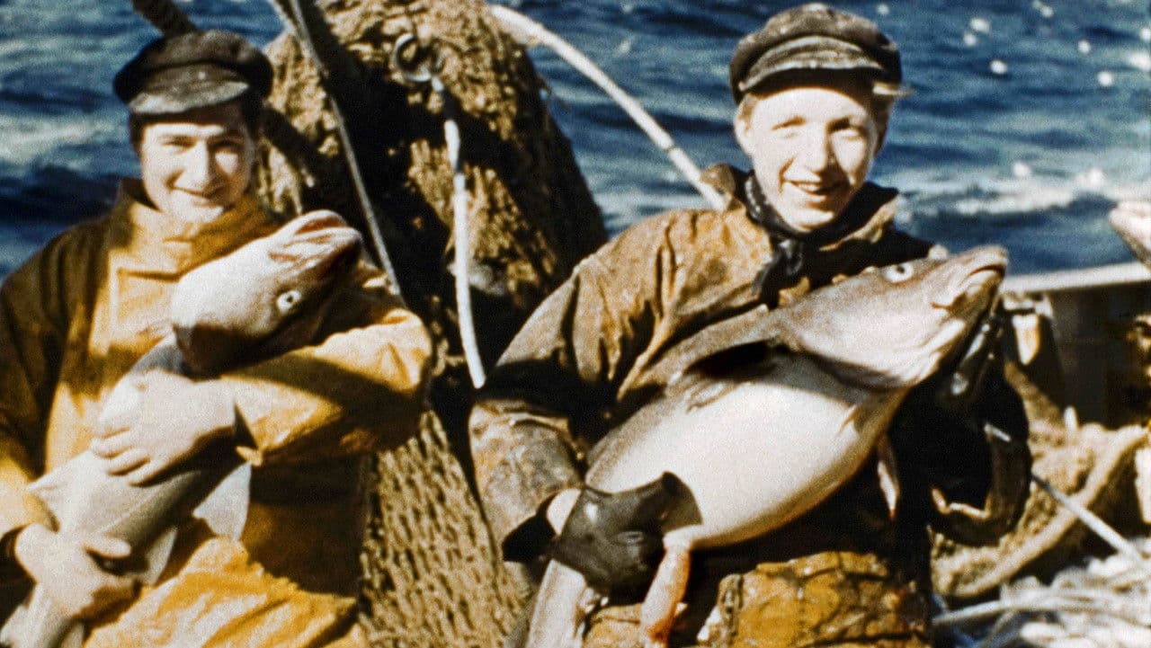 The Documentary Journey of Madame Anita Conti