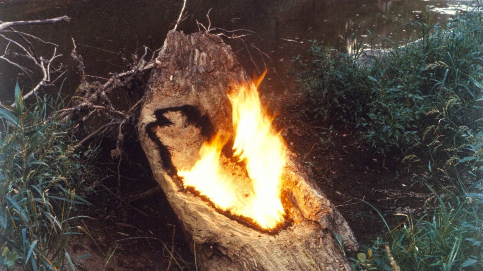 Ana Mendieta: Fuego de Tierra