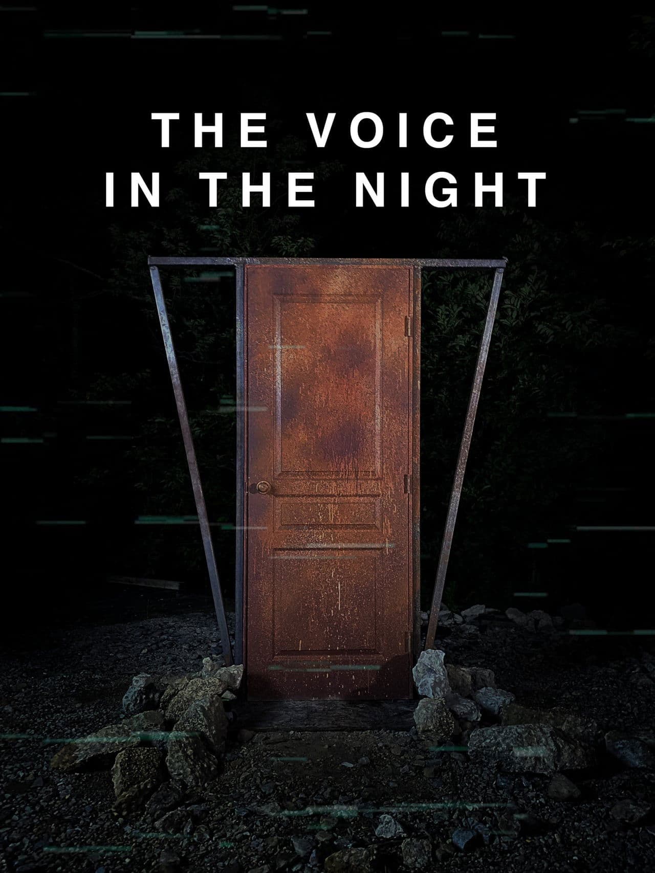 The Voice in the Night