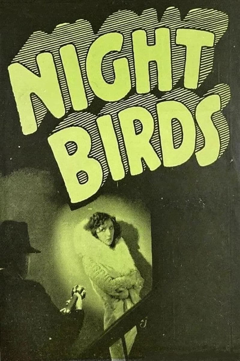 Night Birds