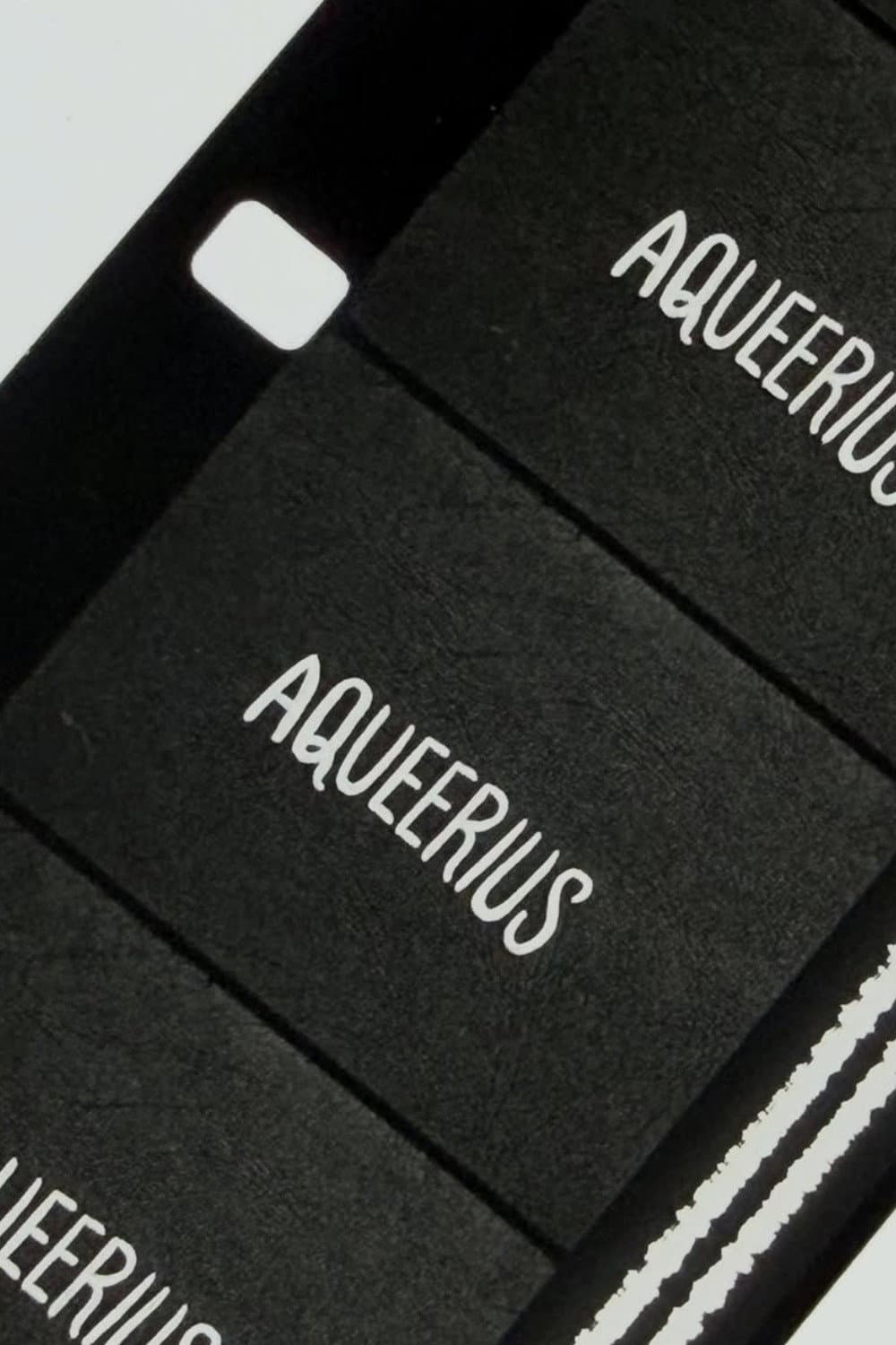 Aqueerius