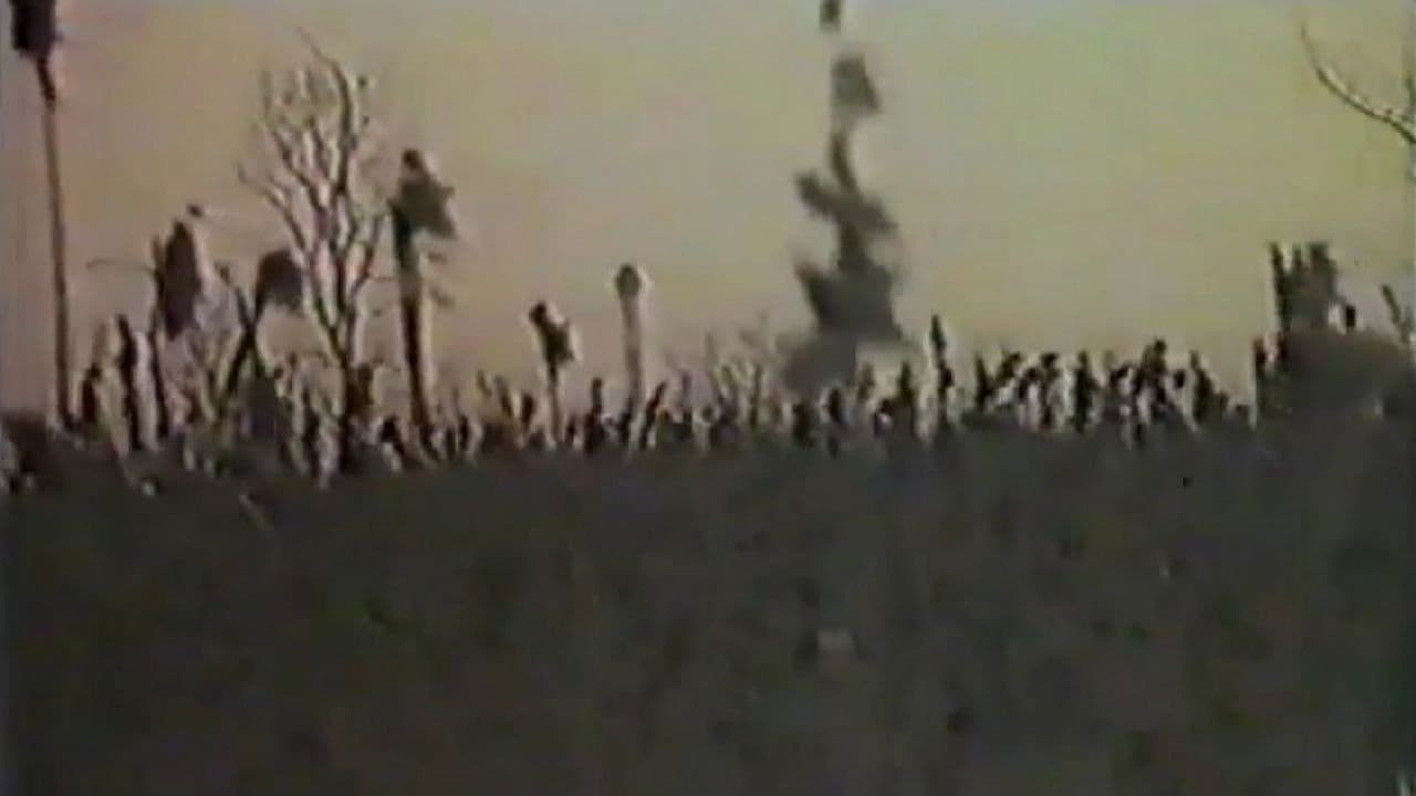 Ангел жатвы