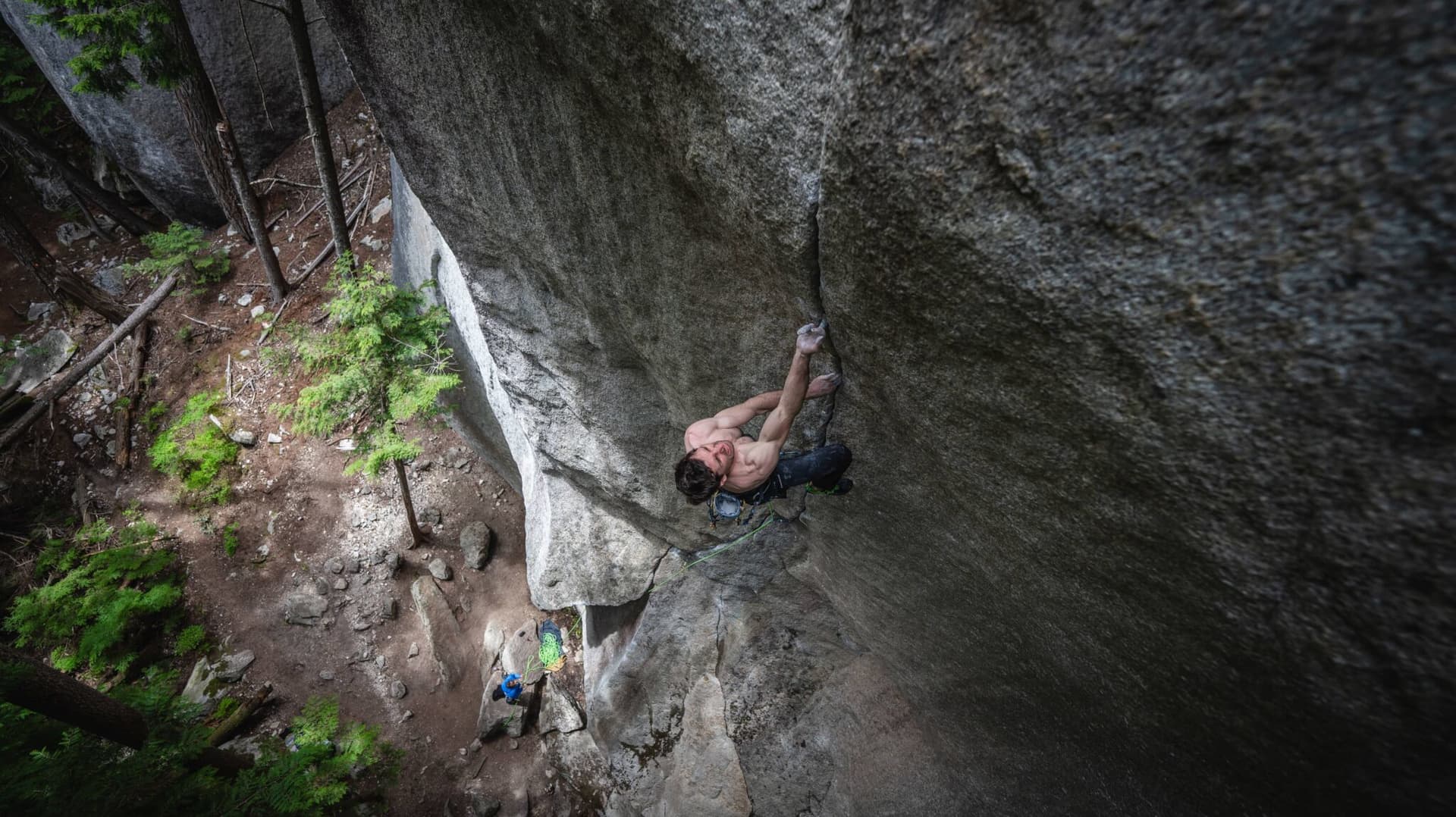 The Cobra and the Heart