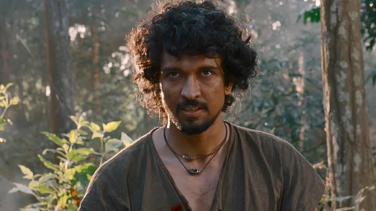 Balidaan