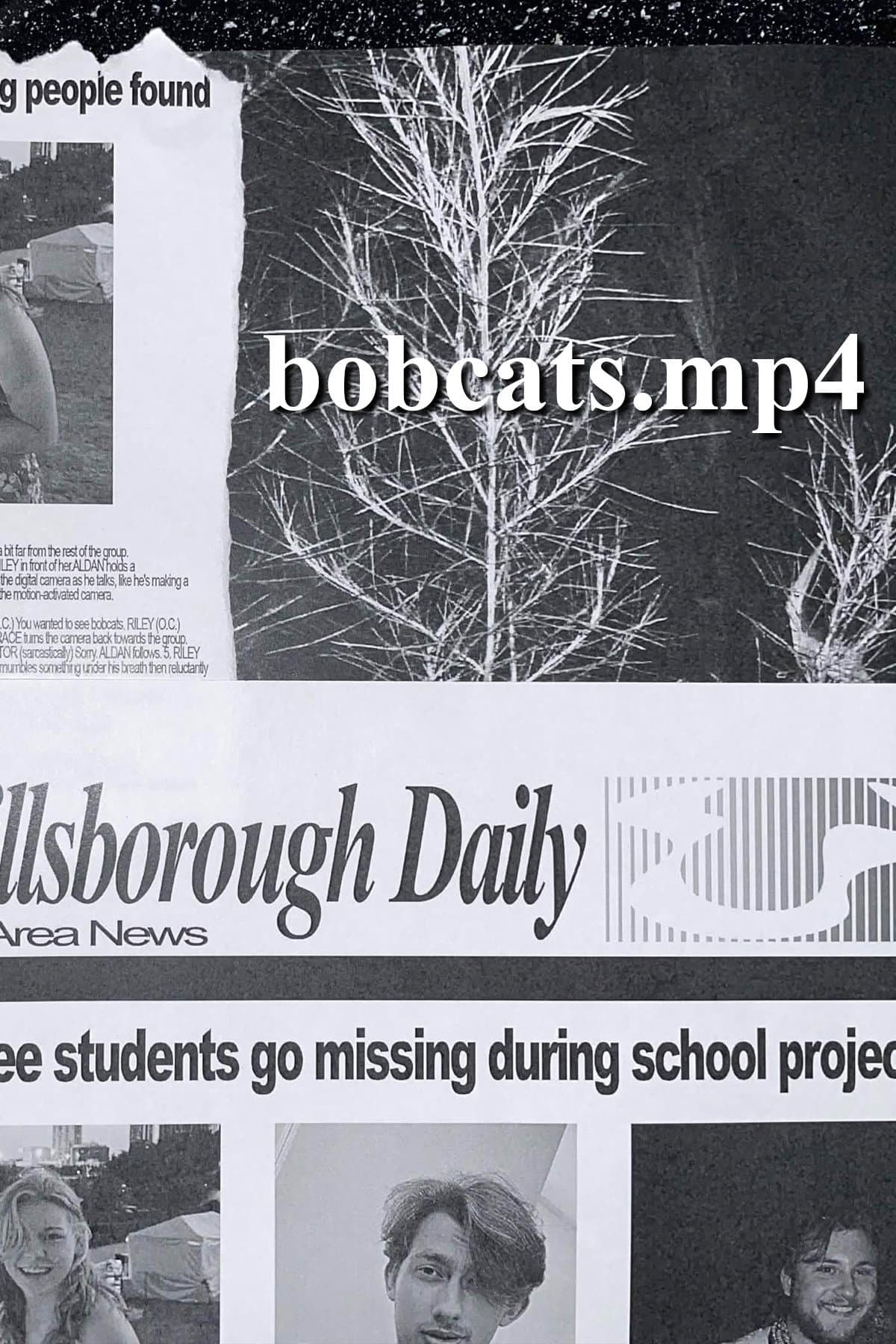 bobcats.mp4