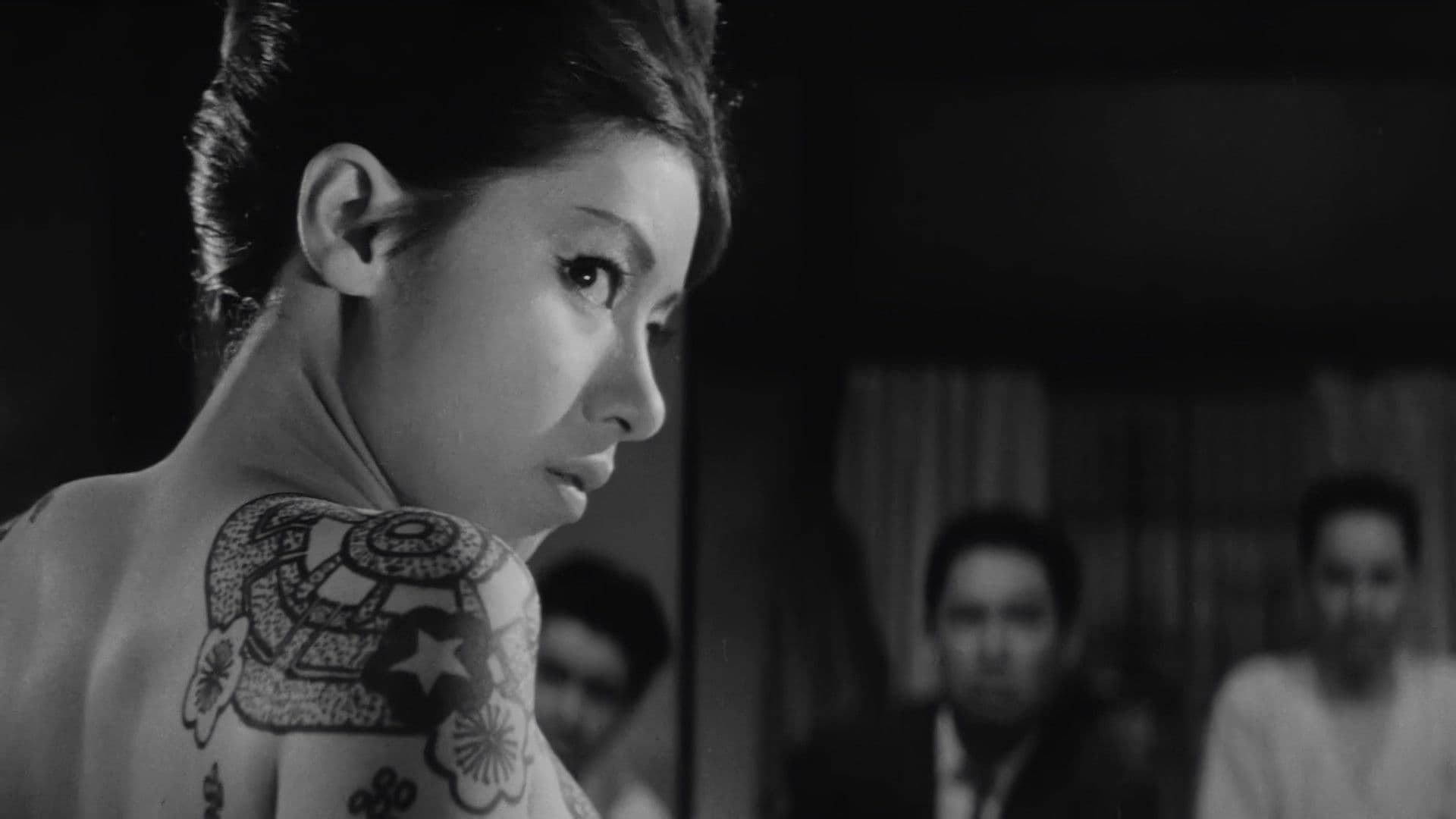 Cat Girls Gamblers Collection