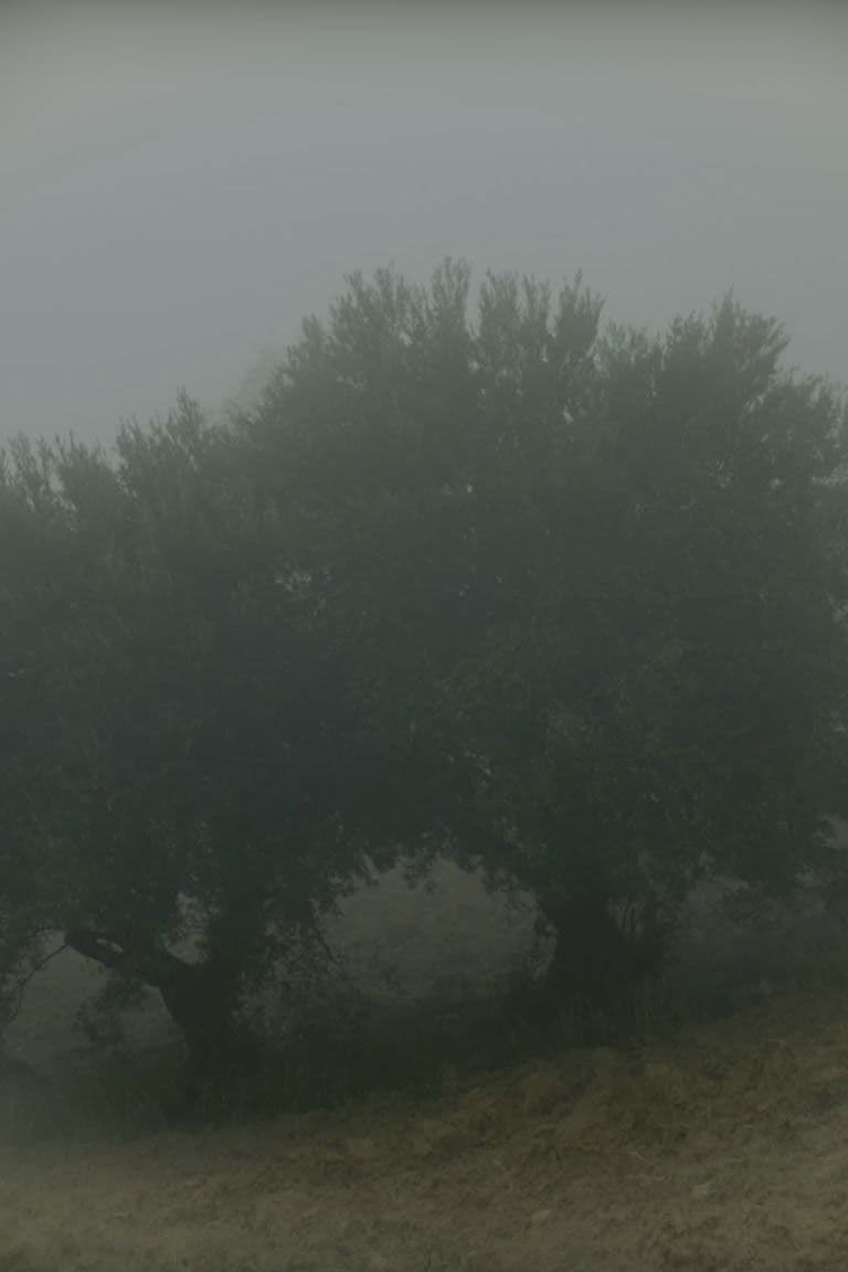 Why Do I See You In Everything?