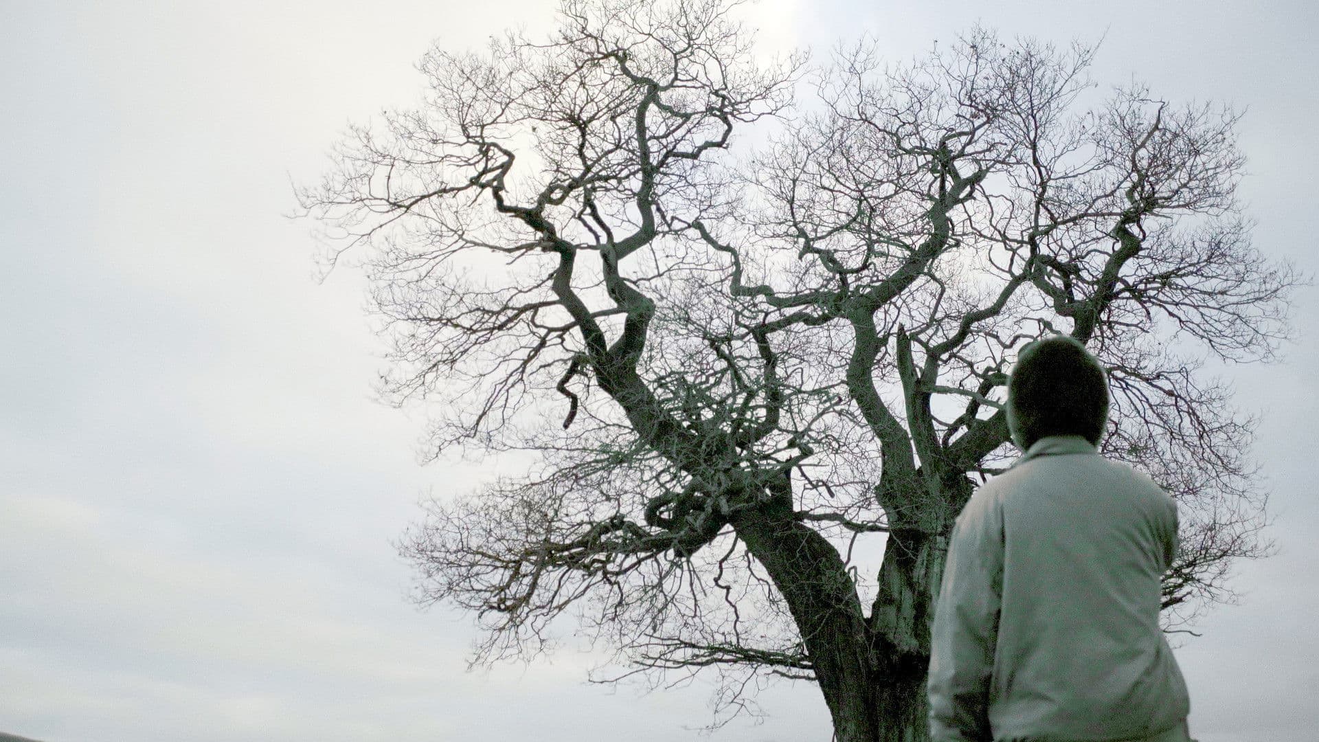 I didn't get into Berghain but I did meet Vica