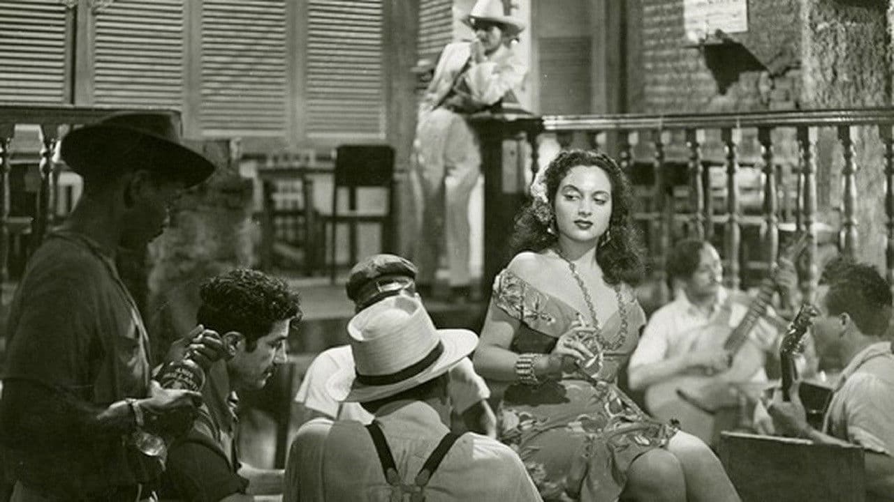 The Yacht Isabel Arrived This Afternoon