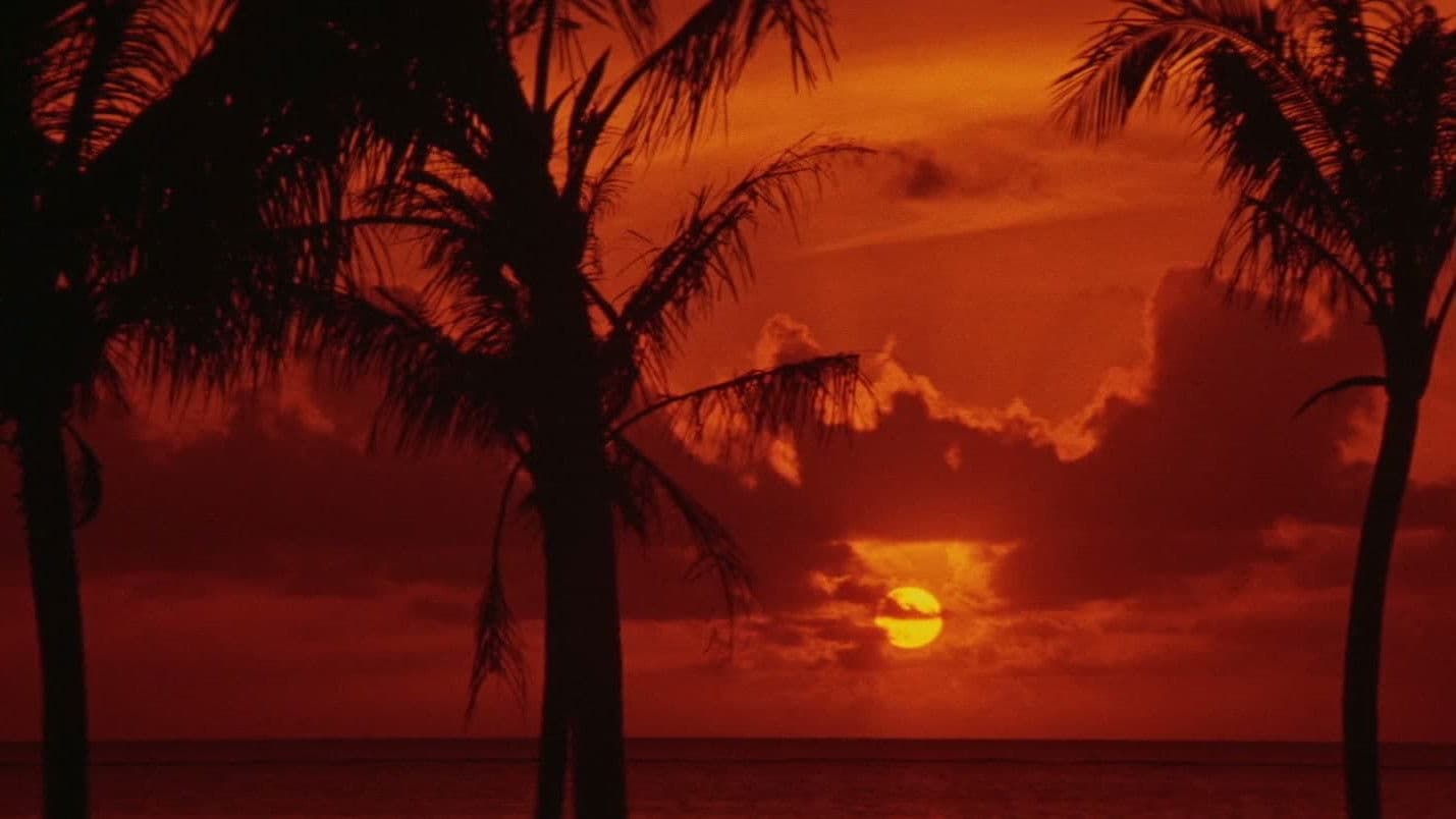 Japanese Godfather: Conclusion