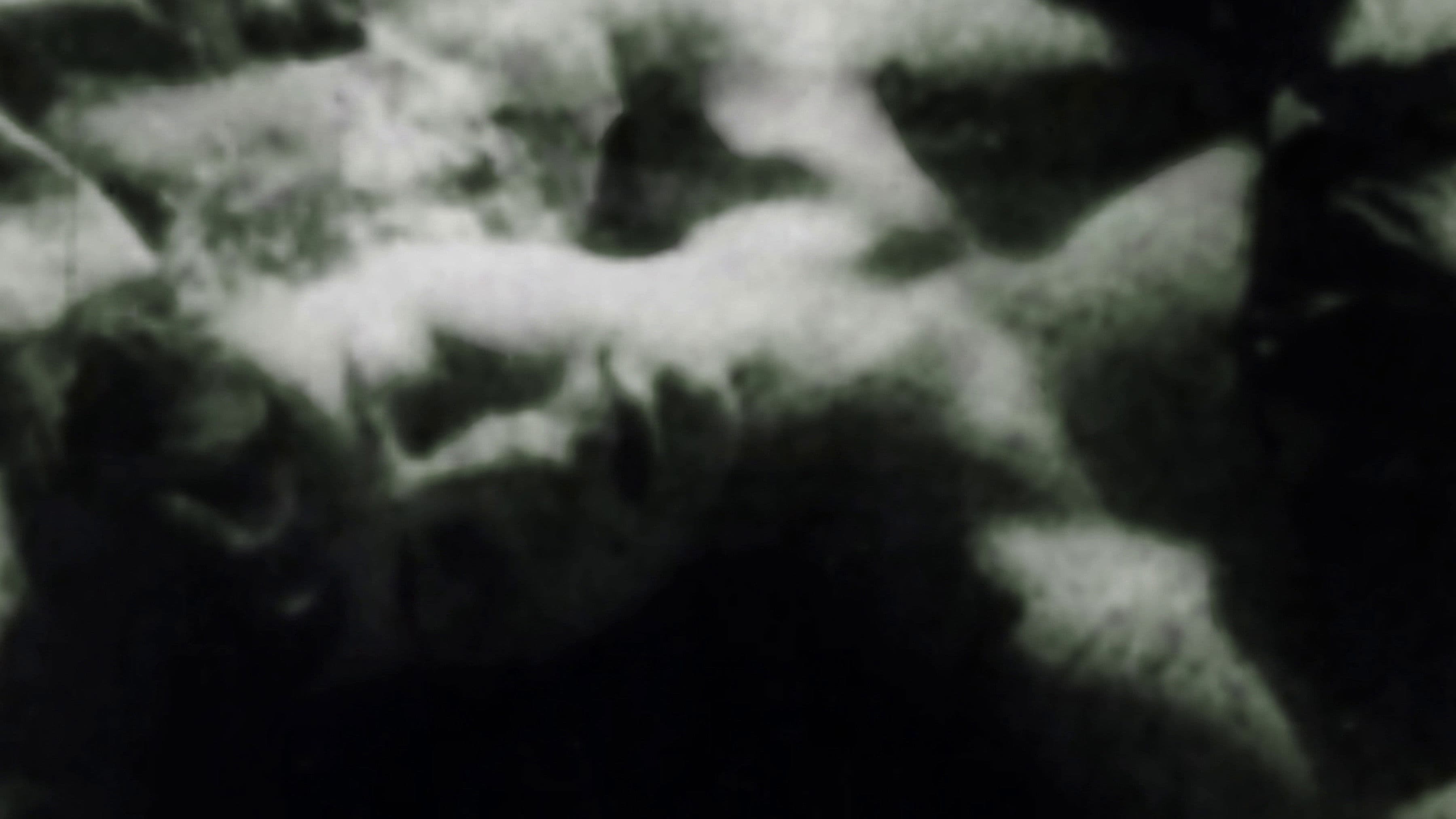 We exist through our eyes