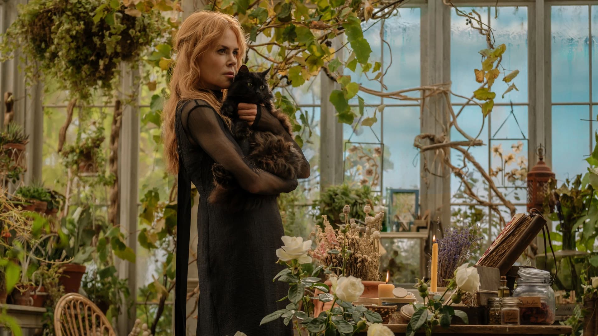 Practical Magic 2