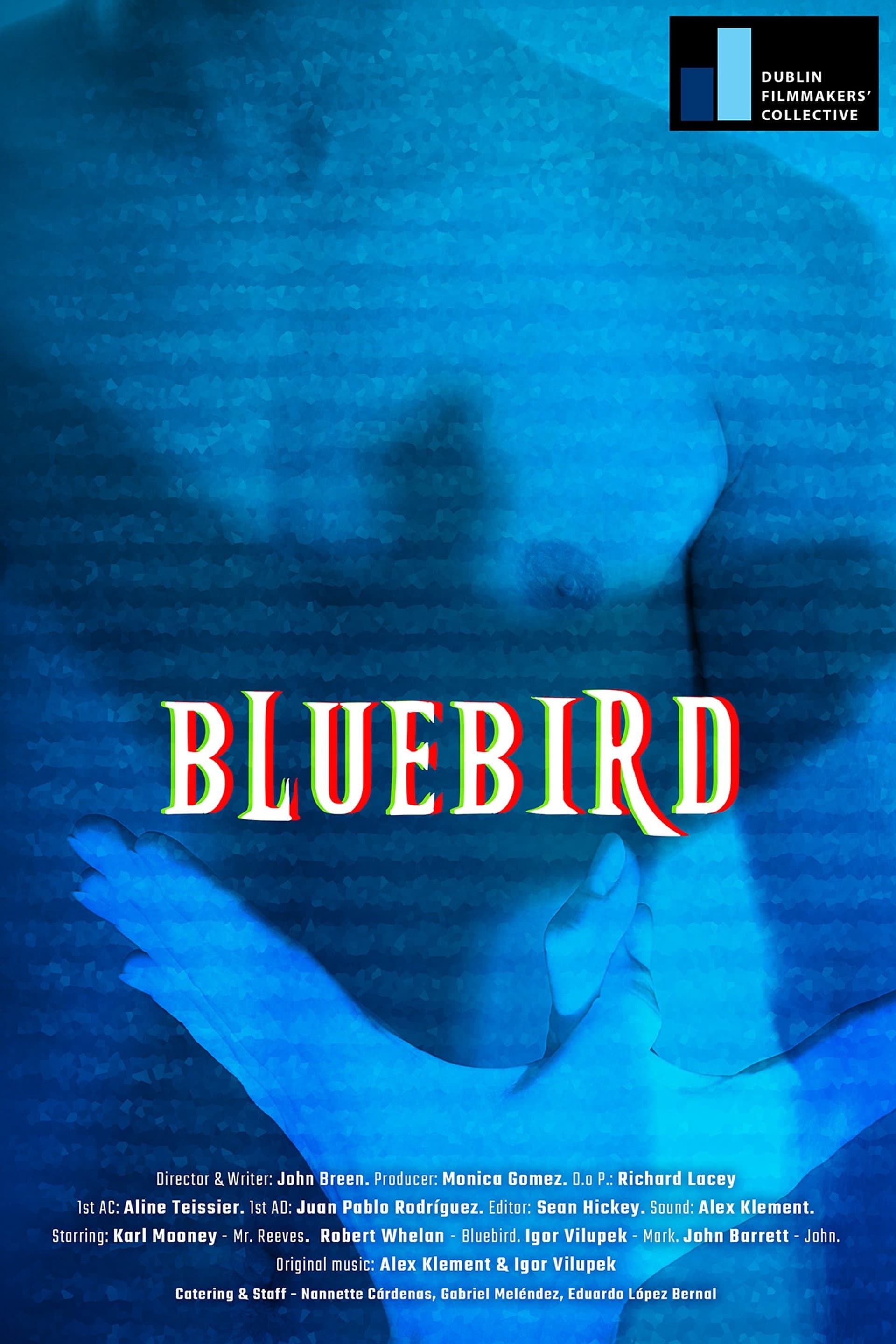Bluebird