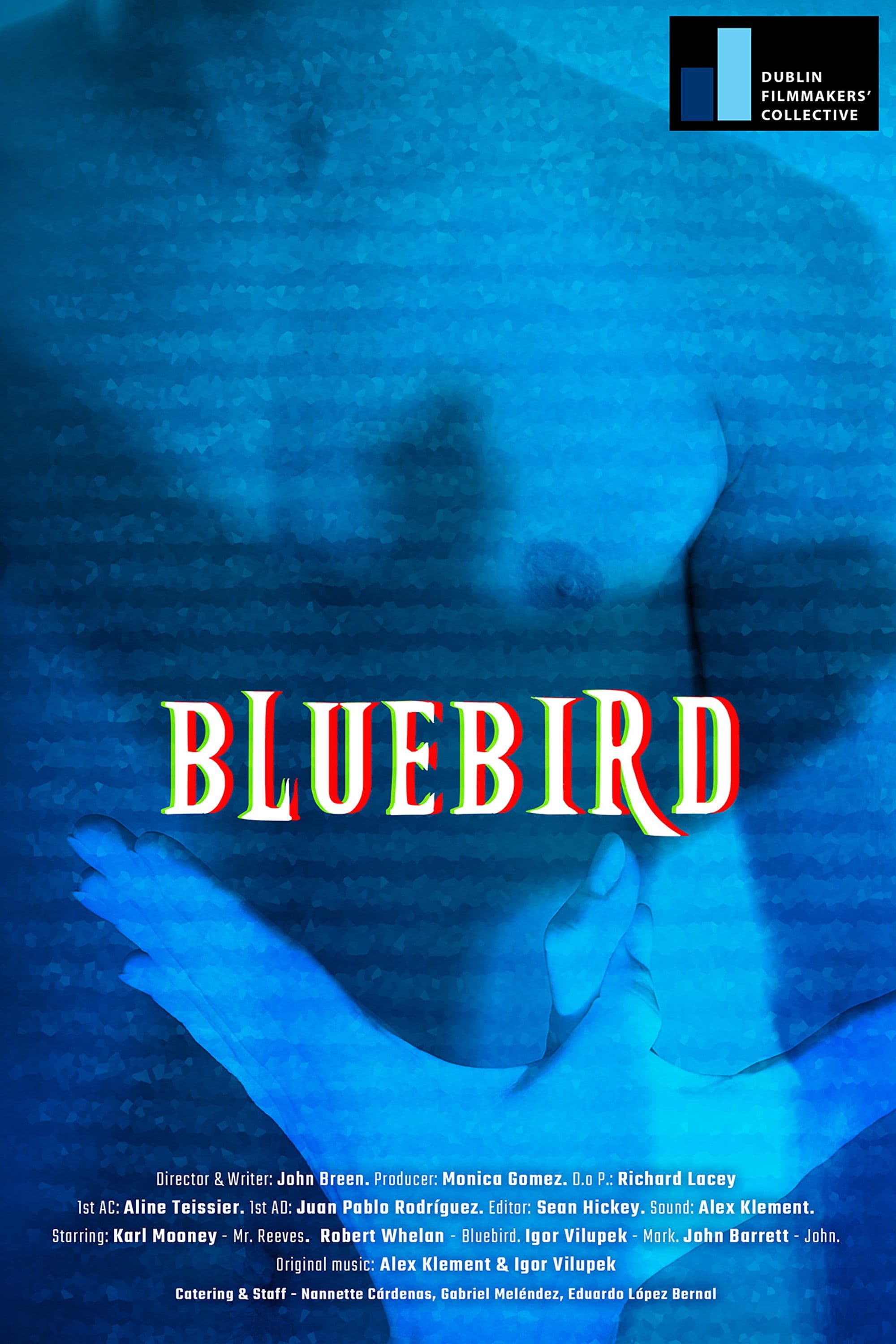Bluebird