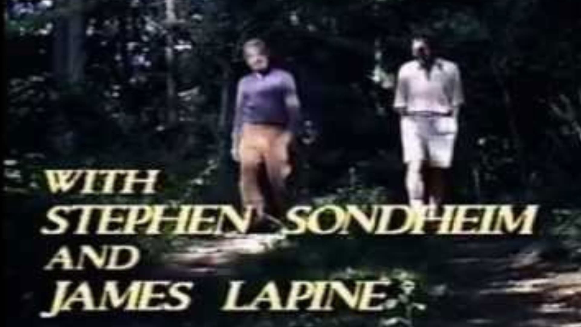 Into the Woods: A Conversationpiece