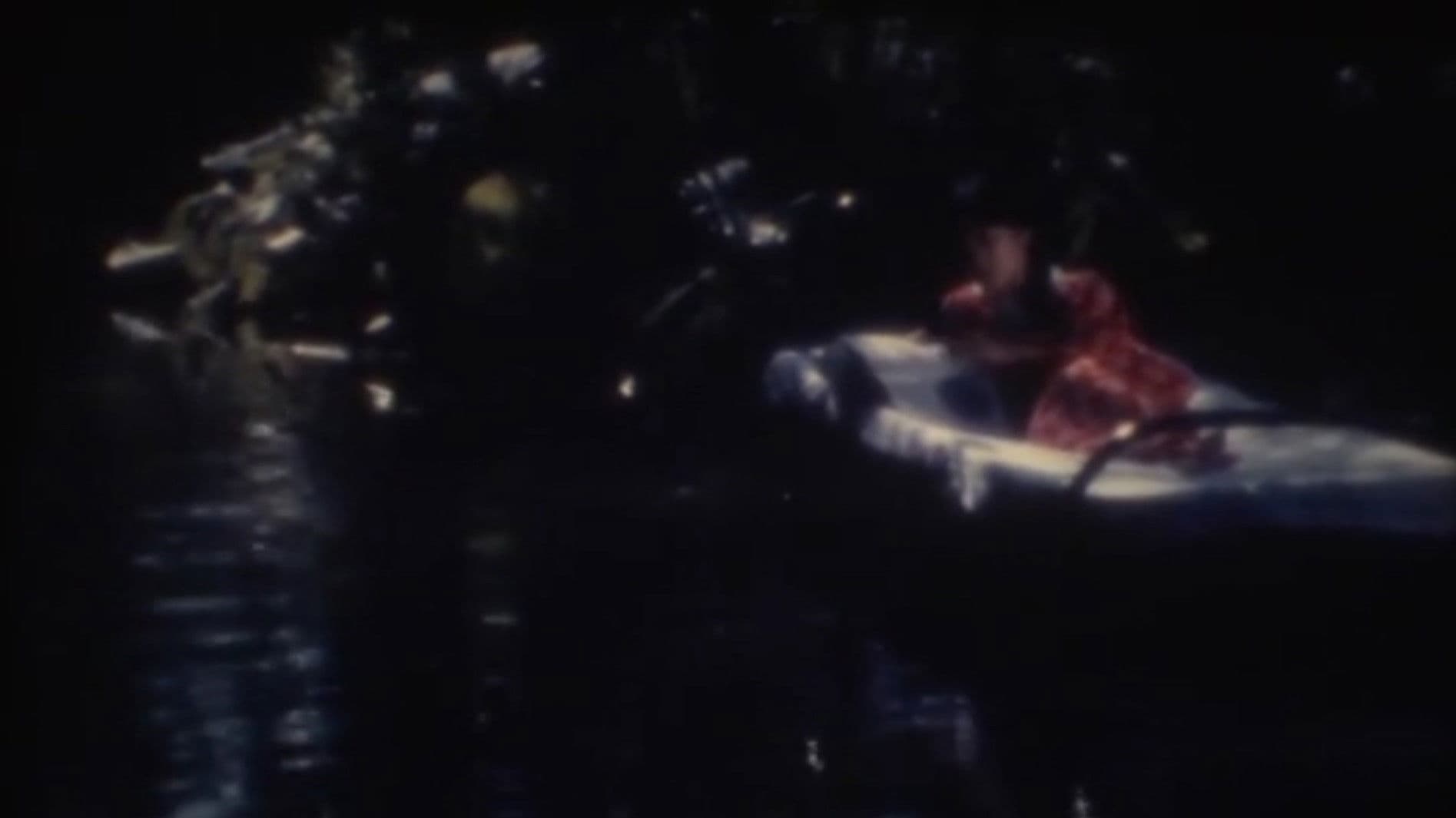 Night of the Milky Way Railroad