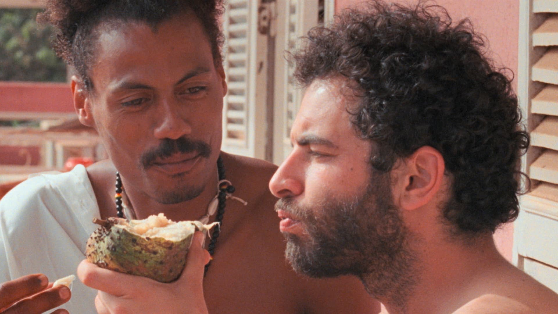 I Only Rest in the Storm