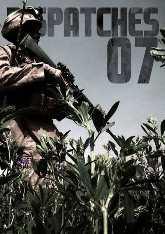 Big Noise Dispatches: Vol. 07