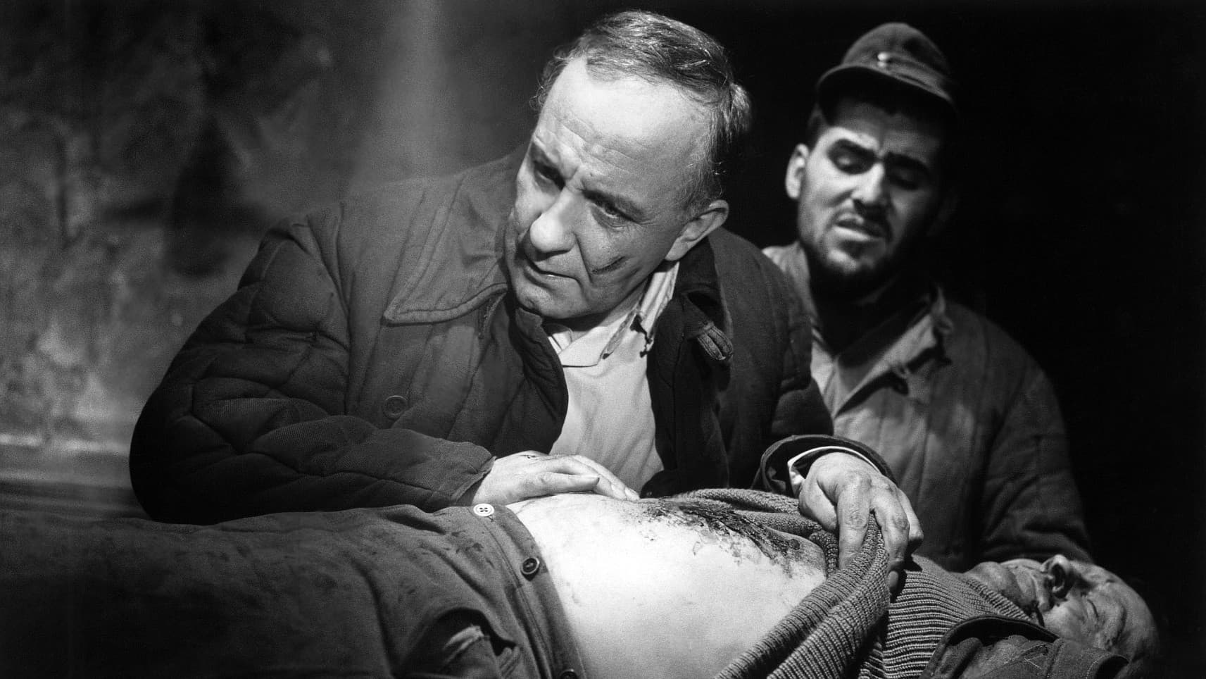 The Doctor of Stalingrad