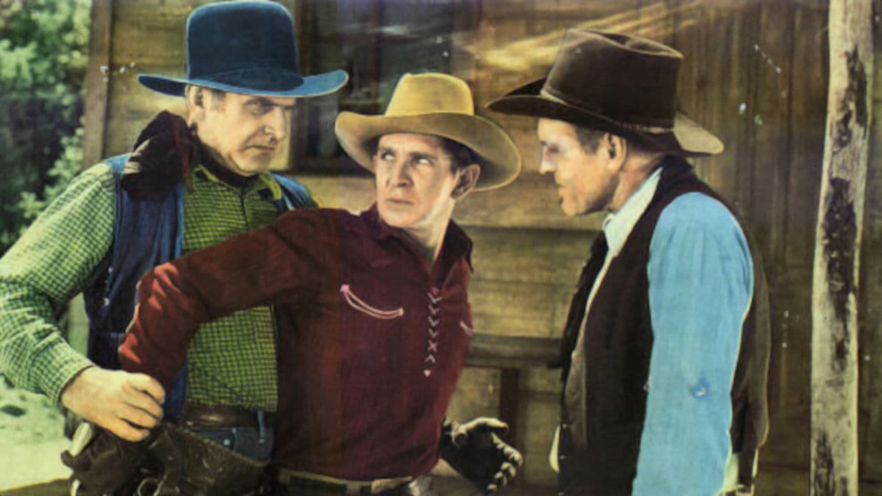 Trail Blazers Collection